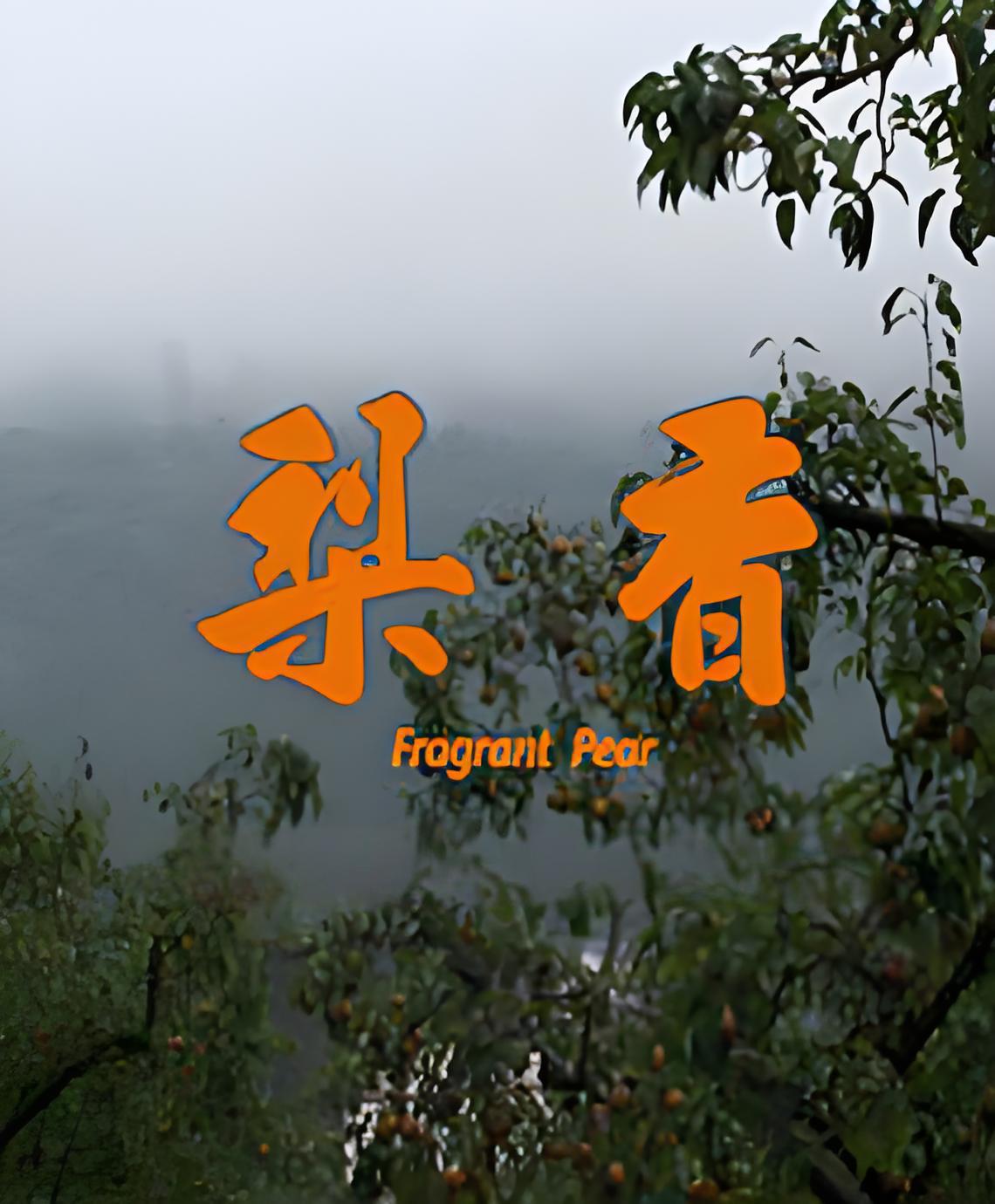梨香封面图
